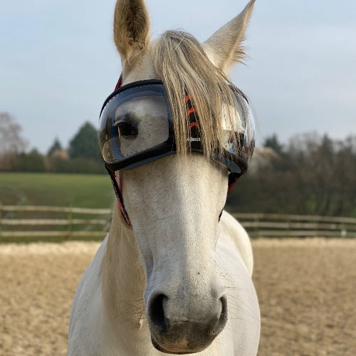 Equidiva - Protections ophtalmiques équines
